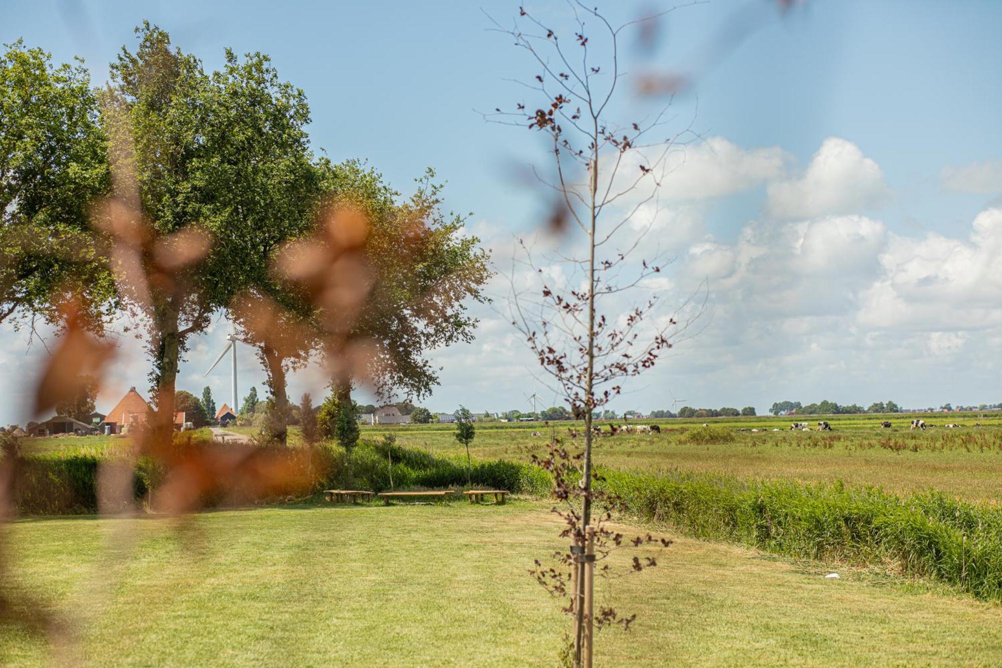 Groepsaccommodatie Fries En Fruitig Nijhuizum Exteriér fotografie